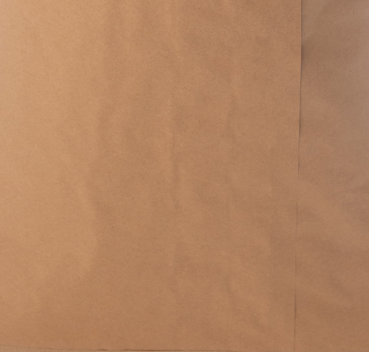 closeup of paper bag
